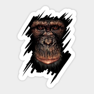 Affe Sticker